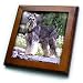 Schnauzer - 8x8 Framed Tile