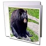 WhiteOak Photography Animal Prints - Black Bear North Carolina Bear - Greeting Cards-12 Greeting Cards with envelopes