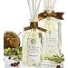 Antica Farmacista Champagne Home Ambiance Fragrance 8.5 oz