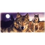 Youth Hoody (Hooded Sweatshirt) : Wolves - Wildlife Wolf