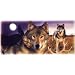 Youth Hoody (Hooded Sweatshirt) : Wolves - Wildlife Wolf