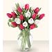 20 "I Love You Mom" Fresh Tulips