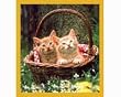 Let's Go For A Picnic Fridge Magnet