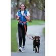 The Buddy System - Hands Free Leash - Regular Dog System - Black Regular