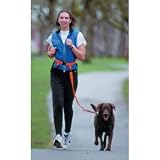 The Buddy System - Hands Free Leash - Regular Dog System - Black Regular