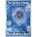 Books : The Little Book of Bleeps: Quotations from the Movie... What the Bleep Do We Know? (ISBN number#0-971074-0-6)
