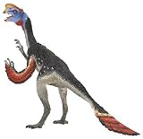 Carnegie Collection: Oviraptor