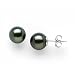 Tahitian Black Pearl Earrings in 14K White Gold (8-9mm)
