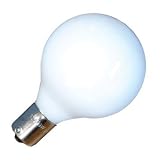 12V 13W RV LIGHT BULB by Prosperity Tool