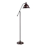Ott-Lite 25 Watt Hyde Park Floor Lamp (25H54SBX)