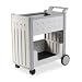Iceberg 45053 Blow molded high density polyethylene mail cart, 21w x 38-1/2d x 42h, platinum