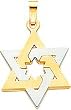 14K Two Tone Gold Star of David Pendant