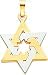 14K Two Tone Gold Star of David Pendant