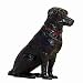Hunter Dan Hank Labrador Retriever Just Hank