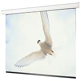 Targa 16:9 Wall Mounted Motorized Projection Screen