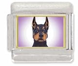 DOBERMAN PINSCHER Italian Charm