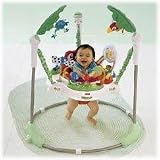 Fisher-Price Rainforest Jumperoo