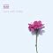 Beautiful classical music for the casual listener