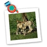 Wild animals - Cheetah - Quilt Squares
