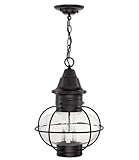 IMAGE OF New Vidalia Onion Three Light Large Outdoor Hanging Lantern Finish: Black, Glass Type: Clear