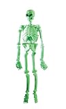 Rubies Costume Halloween Home Decor, Glow-in-the-Dark 5 Laboratory Skeleton