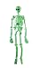Rubies Costume Halloween Home Décor, Glow-in-the-Dark 5' Laboratory Skeleton