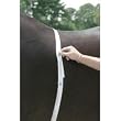 Horse & Pony Weight Tape