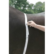 Childrens Toyshop  Sporting Goods : Horse & Pony Weight Tape
