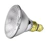 SLI Incandescent Light Bulbs