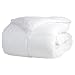 All Season Down Alternative Twin Comforter, White