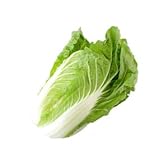 熊本県産　白菜 1個