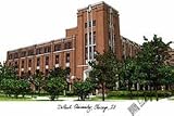 DePaul Blue Demons NCAA 14 &acute; x 10 &acute; Limited Edition Lithograph ( Unframed ) - B0001LSQBS