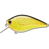 ��å�������ե�USA �Х��ץ�����åץ� ��å� ����� ����󥯥٥��� 404 CHARTREUSE PERCH RC0.5