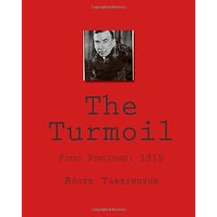 The Turmoil