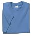 Hanes Heavyweight - 100% Cotton T-Shirt Carolina Blue-L