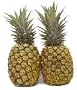 Fresh Tropical Gold Hawaiian Pineapples (Case)