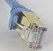 100ft Cat 6A Cat6A Network Patch Cable for Nortel Cisco 10 Gigabit Ethernet 10GBase-X Blue