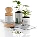 Wooden Paper Potter - Large