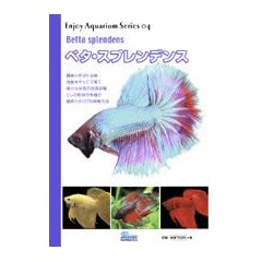 �x�^�E�X�v�����f���X (�d���������@�`���������������@�r����������)