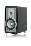 Review Tangent 10424 / Tangent Clarity 4 High Gloss Black Speaker
