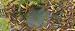 GARDEN GROUND COVER MULCH WEED FABRIC 8M X 1.5M