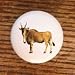AFRICAN WILDLIFE SAFARI NYALA DRAWER PULLS KNOBS