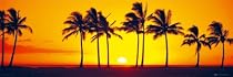 Hawaii Sunset (Palm Trees, Door) Art Poster Print - 21" X 62"