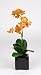 Artificial 17" Mini Phalaenopsis Orchid, Paprika