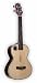 Riptide UT-2N Tenor Ukulele - Gloss Finish