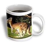 Wild animals - Kangaroo - Mugs