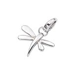 Produkt-Bild: FOSSIL Damen Charm Edelstahl JF82839040