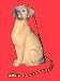Yellow LABRADOR Dog Ceiling FAN PULL Chain SET OF TWO 2