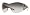 400/8G- Grey-Black Texture/Grey Gradient
