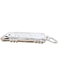 Rembrandt Charms Train Charm